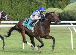 Gracinha anjos porn on the website photos seemed great,