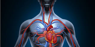 Shop for vitamins & supplements at walgreens today! How To Increase Circulation Naturally With Ayurveda Svastha Ayurveda