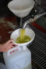 Olive Oil Sicilian Recipes Food Best Camping Meals