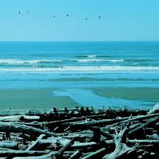 Ocean Shores Washington For Tourists