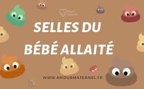 Selles Du Bebe Allaite Ce Qu Elles Revelent Sur Sa Sante Si les selles sont blanches (en langage scientifique, on parle plutôt de selles claires ou les selles de votre enfant sont normales, mais vous y avez trouvé des petits points blancs qui bougent ? selles du bebe allaite ce qu elles