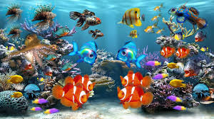 Fish Tank Hd Photos Download 3d Tropicheskie Oboi Oboi Oboi Cveta Morskoj Volny