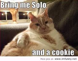 My favorite gingerbread men cookies. 45 Very Funny Cookies Meme Pictures That Will Make You Laugh