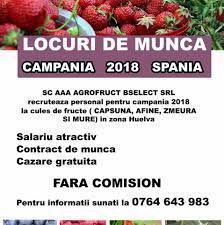 Cele mai noi cele mai vechi relevanță. Locuri De Munca Contracte Spania Groups Facebook