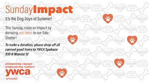 Check spelling or type a new query. Donate Pet Supplies Help A Family In Need Ywca Spokane
