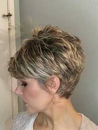 These selections of short hairdos blend with fine hair and are handy for women that would love to express their undying beauty even into their fifties. Chic Short Haircuts For Women Over 50 Fine Hair Style Short Hair Cuts For Women Over 50 How Do It Info