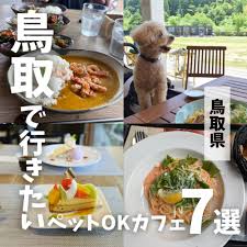 鳥取 犬 連れ ランチ