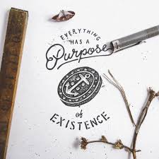 Salmo Everything Has A Purpose Of Existence