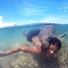 An orphaned baby dugong that attained celebrity status in thailand has died with plastic waste lining its stomach, prompting a surge of mourning on the internet. Save The Dugong On Instagram An Orphaned Baby Dugong Missing His Mom And Hugging A Human Instead In Indonesia Endangered Dugong Endangered The Incredibles