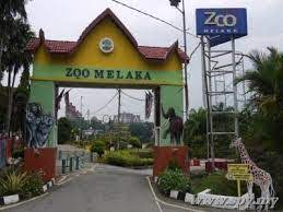 Lebuh ayer keroh, hang tuah jaya, ayer keroh, melaka, 75450. Melaka Zoo Melaka Popular Places