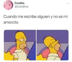Pin En R