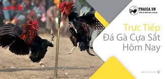 Trực tiếp bóng đá trận hà lan gặp ukraine hôm nay. Ä'a Ga Trá»±c Tiáº¿p Thomo Campuchia Hom Nay 17 06 2021