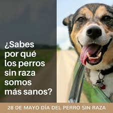 Pero ni nos informamos sobre ello, elegimos porque es mono, porque es fuerte y. Facebook