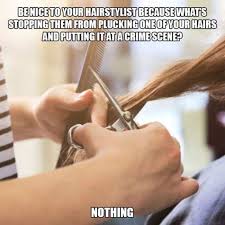 Shocking i know??so in today's video, i leave the house. 242 Hilarious Memes That Will Make You Feel Bad For Your Hairstylist Bored Panda