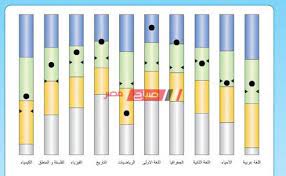 Ministry of education official website الموقع الرسمي لوزارة التربية والتعليم. Ø¨Ø§Ù„Ø¯Ø±Ø¬Ø§Øª Ø§Ø³ØªÙ„Ù… Ù†ØªÙŠØ¬Ø© Ø§Ù„ØµÙ Ø§Ù„Ø«Ø§Ù†ÙŠ Ø§Ù„Ø«Ø§Ù†ÙˆÙŠ Ø§Ù„ØªØ±Ù… Ø§Ù„Ø§ÙˆÙ„ 2021 Ù…ÙˆÙ‚Ø¹ ÙˆØ²Ø§Ø±Ø© Ø§Ù„ØªØ±Ø¨ÙŠØ© ÙˆØ§Ù„ØªØ¹Ù„ÙŠÙ… ØµØ¨Ø§Ø­ Ù…ØµØ±