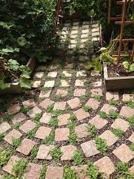 We did not find results for: Planting Blue Star Creeper And Wooly Thyme Between Pavers Flagstone Pavers Flowering Ground Cover Garden Pavers