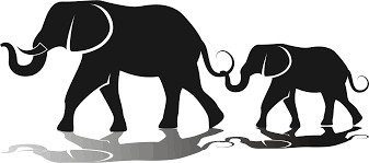 Silhouette Elephant Clip Art Elephants Clipart 2382 1056 Transprent Png Free Download Wildlife Terrestrial Ani Elephant Clip Art Clip Art African Elephant