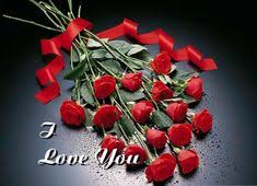 We did not find results for: 56 Meaningful Words Ideas Beautiful Red Roses Red Roses Beautiful Red Roses Images
