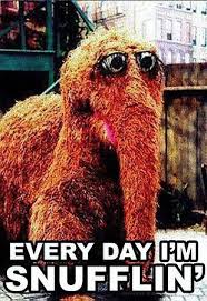 Sesame Street Cred Cute Story What The Fitness Funny Pictures Bones Funny Laugh