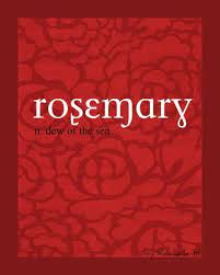 Baby Girl Name Rosemary Meaning Dew Of The Sea Origin Latin English Http Www Pinterest Com Vintagedayd Names With Meaning Baby Girl Names Pretty Names