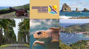 We did not find results for: Guadeloupe Tourismusbehorde Botschaften Das Karibik Portal