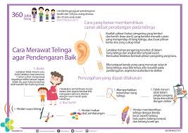 Tuliskan secara skematis mekanisme pendengaran!. Bagaimana Proses Telinga Mendengar Bunyi