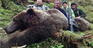 New alaska hunting areas can be found almost daily. Ars Are Perfect For Hunting Grizzlies Grand View Outdoors