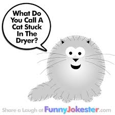 Jokes, we think you might also like our ace what did…? New Funny Cat Joke For Kids With Cartoon