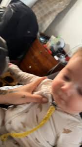 Lost dog in Riverside area