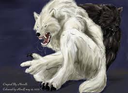 White wolf anime black wolf. White Wolf Black Love By Rwolf On Deviantart