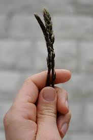 We did not find results for: Wild Asparagus Locations