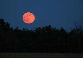 The strawberry moon on thursday is the last supermoon of 2021. Full Moon In June 2021 Will Be A Super Strawberry Moon Nj Com