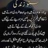 Quotes of ,hazrat muhammad (pbuh), hazrat ali(r.a), and other great persons. 3
