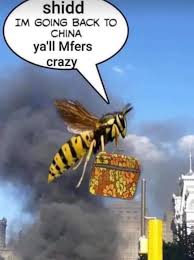 Our work is driven by a thoughtfully curated roster of award winning directors from around the globe who have cultivated their own unique voices but share a passion… Going Back To China Murder Hornet Invasion Know Your Meme