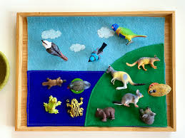 Fish and other creatures that live under water. Land Air Water Sorting Montessori First Geography Lessons How We Montessori