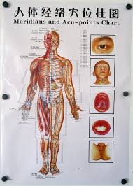 Usd 12 99 Human Meridian Point Wall Chart Acupuncture