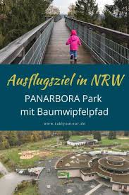 Besuch Im Panarbora Baumwipfelpfad In Waldbrol Ausflug Ausflug Nrw Ausflugsziele