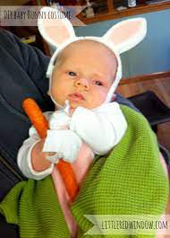 Newborn Baby Bunny Costume Baby Bunny Costume Bunny Costume Baby Bunnies