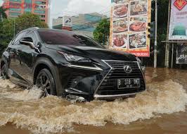 Berikut gambar kucing yang mudah untuk digambar : Cukup Mudah Ini Penanganan Rem Cakram Setelah Terendam Banjir Gridoto Com
