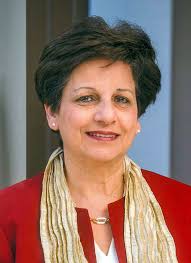 Diversity Enrichment Committee Hosts Discussion Night