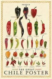 If another node sits directly above the first node, remove the leaves from that node as well. Cloning Pepper Plants Chilepeppers Com