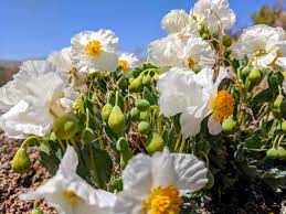 See contacts, phone numbers, directions, hours and more for all business categories in hurricane, ut. Ballard S Nursery Home Facebook