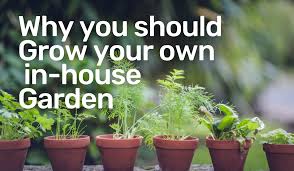 Check spelling or type a new query. The Benefits Of Growing An Urban Garden With Herbs Vegetables And Fruit Common Threads