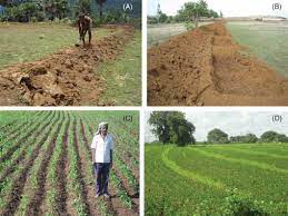 Contour Farming An Overview Sciencedirect Topics