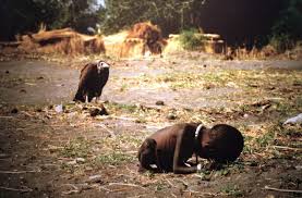 Image result for pulitzer prize photos