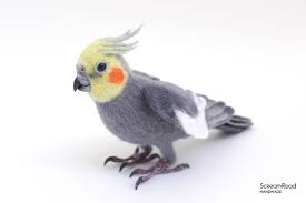 Use this lesson in your classroom, homeschooling curriculum or just as a fun kids activity that you as a parent can do with your child. I Made Needle Felted Realistic Cockatiel Bored Panda