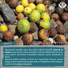 Pin On Pendidikan