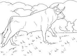Below we've listed some of the best free paint color visualizers that are currently available. Pin By Cs Pengadaan On Bull Coloring Pages Animal Coloring Pages Cartoon Coloring Pages Coloring Pages