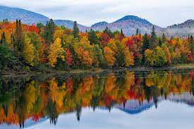 Best New England Fall Foliage Places to Visit in 2022