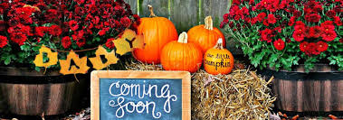 12 Fun Autumn Gender And Pregnancy Reveal Ideas Healthy Pregnancy